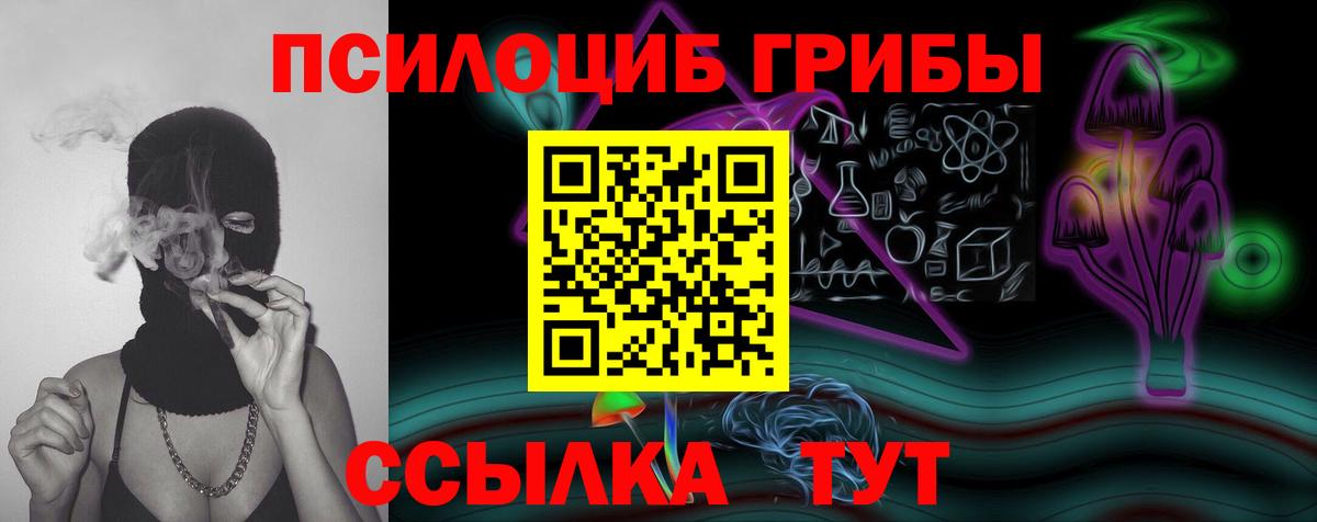 Псилоцибиновые грибы Psilocybine cubensis  Вход с VPN  Галлюциногенные грибы мицелий  Комсомольск-на-Амуре 