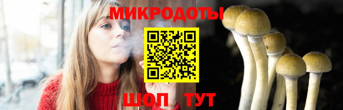 Галлюциногенные грибы прущие грибы Комсомольск-на-Амуре
